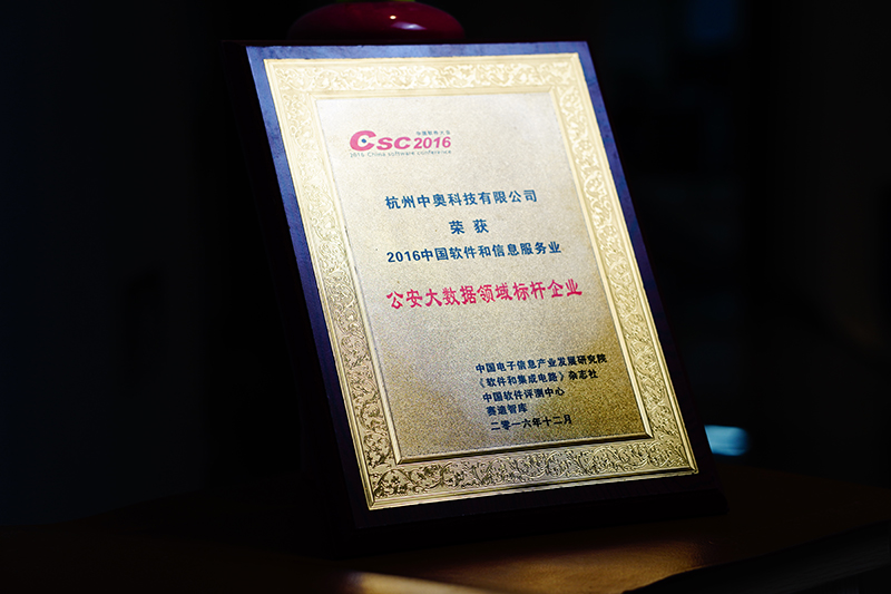 2016中國(guó)軟件和信息服務(wù)業(yè)公安大數(shù)據(jù)領(lǐng)域標(biāo)桿企業(yè)